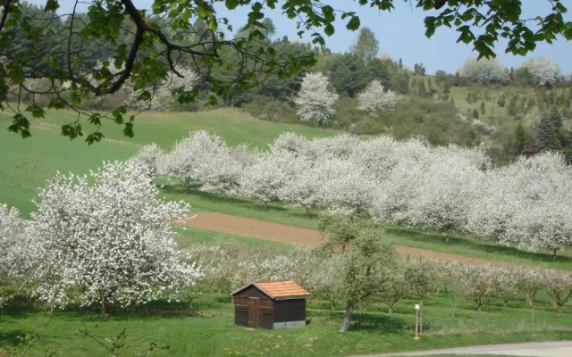 Landgut Hotel zur Warte