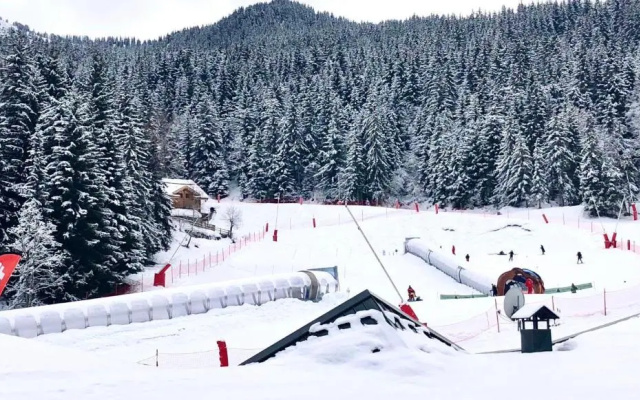 Folyere 17 la Tania