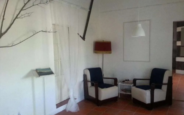 Monte das Aranhas Wine Luxury