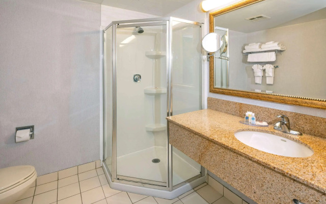 Comfort Hotel & Suites