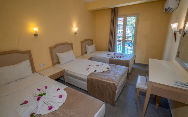 Alenz Suite