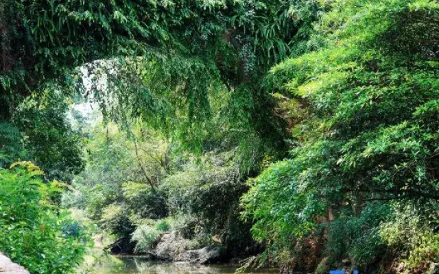 Xingyi Wanfenglin Wuq Homestay