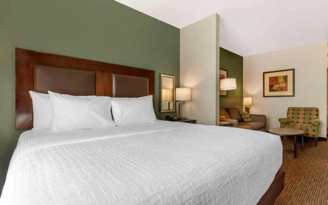 Best Western Plus Duncanville/Dallas