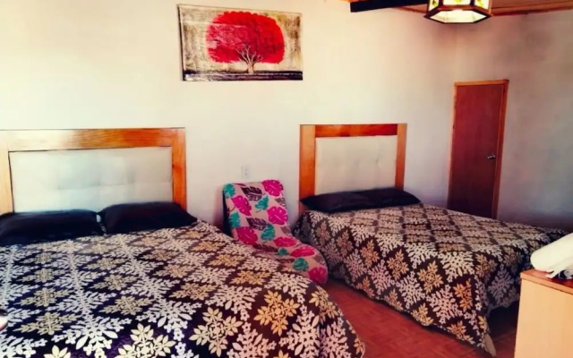 Room-nice Quadruple Cabin Equipped And V