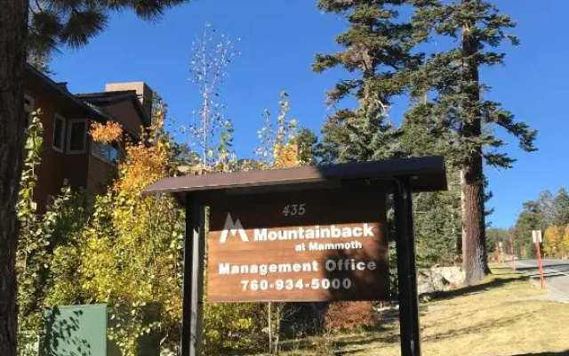 Mountainback #71