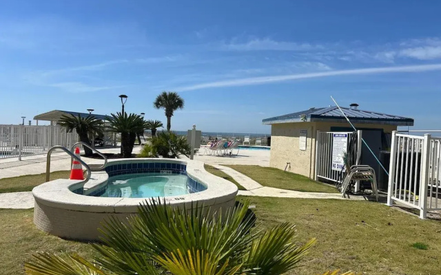 Plantation Palms 6103