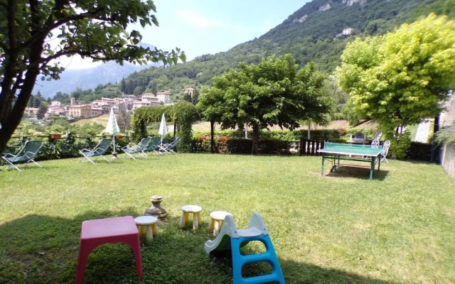 Violetta in Hilly Area