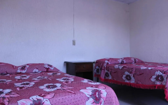 Hotel Plaza Aleman