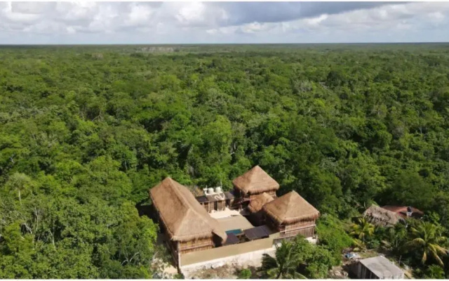 Jungla y Estrellas