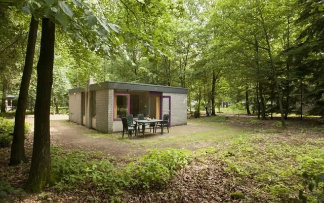 Tidy Bungalow Near the Veluwe