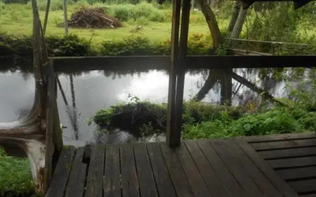 Ukuaru Nature Cabin