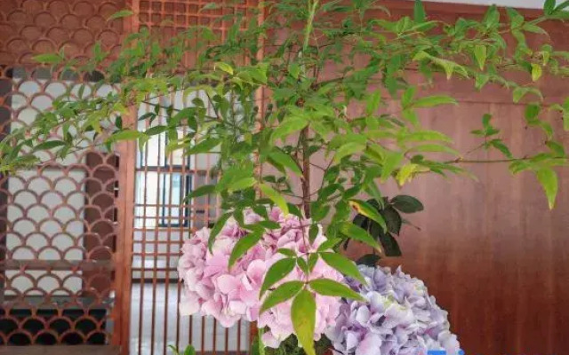 Herun Traditional Chinese Medicine Health Theme Hotel
