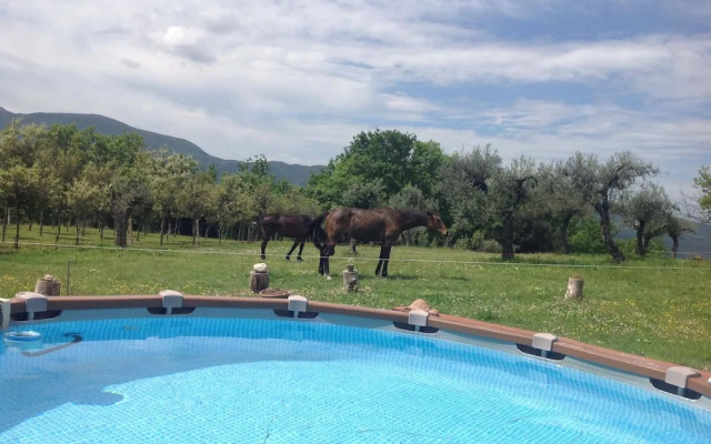 Residence Grimani