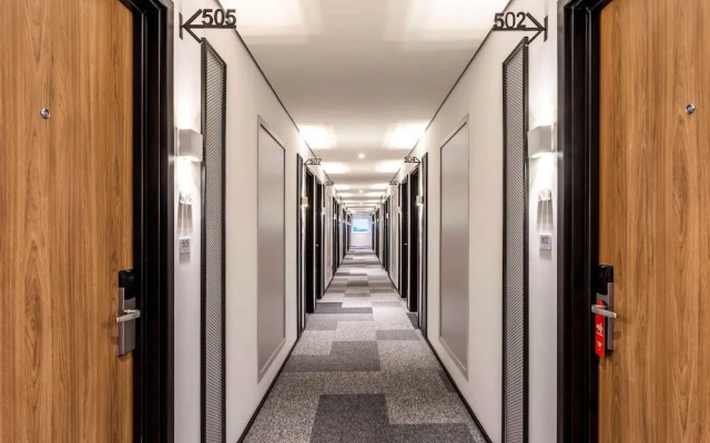 Ibis Aruja
