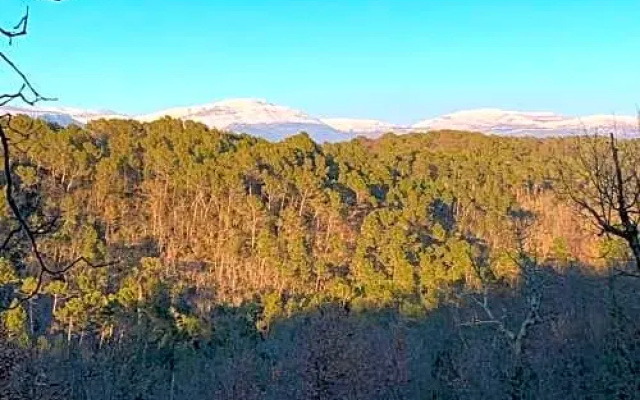 Piedmont en Provence