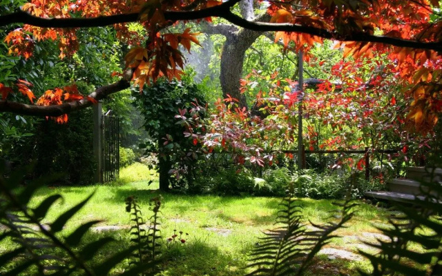 ThistleDown House
