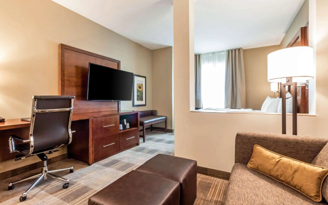 Comfort Suites University