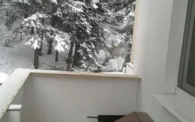 Apartament Nemira