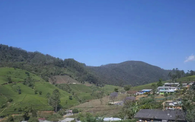 The Train View