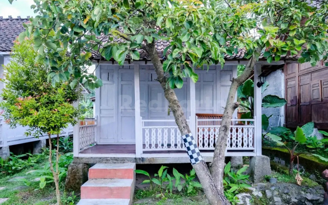 Pondok Daun D Martin Mitra RedDoorz near UMY