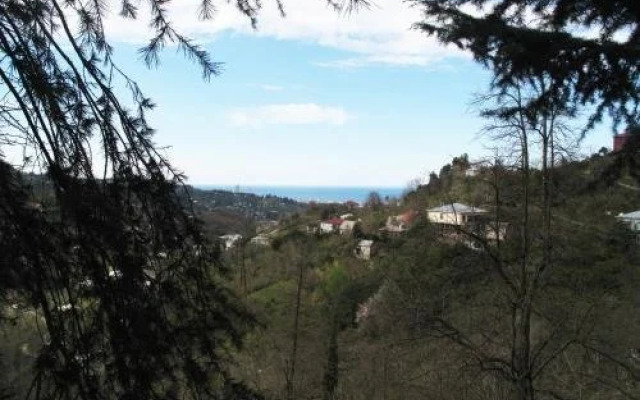Eco Villa Guesthouse
