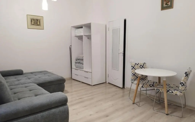 Gediminas Avenue Studio