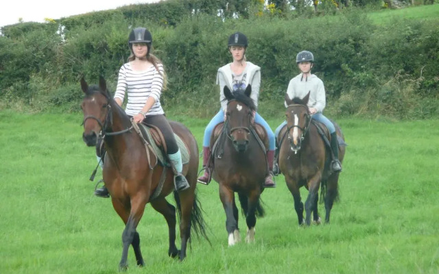 The Rock Equestrian Farm B&B