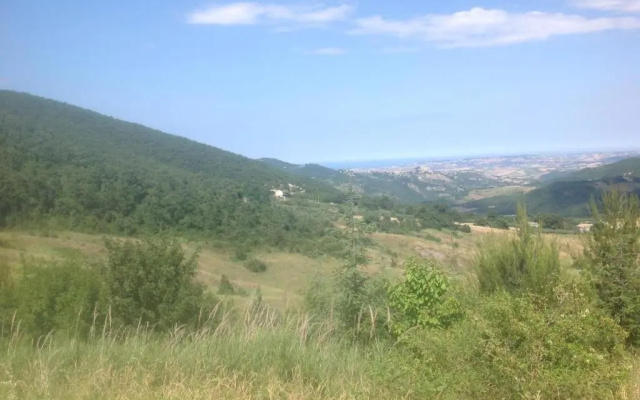 Dal Biondo