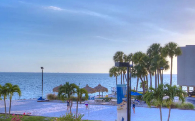 Tampa Waterfront 39600