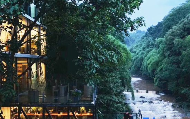 Mount Qingcheng Three Cats  Forest Spa Homestay