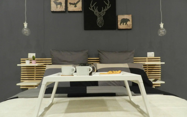 Mola Rooms
