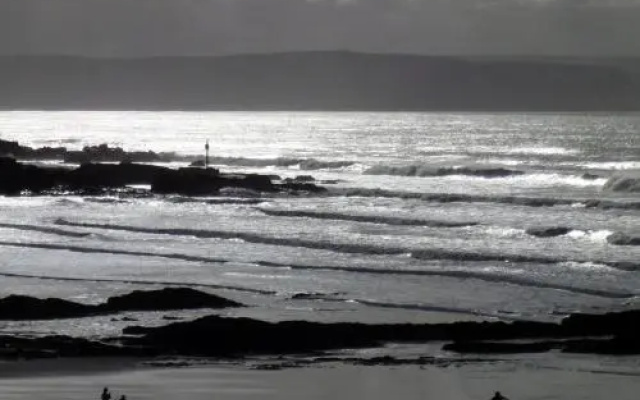 The Workshop, Bude