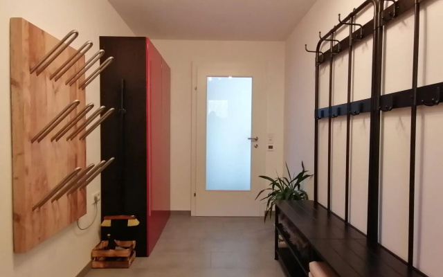 Cosy Apartment in Dienten with mountain view