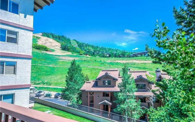 Storm Meadows 458