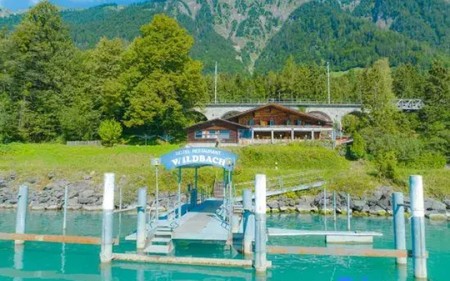 Hotel Wildbach