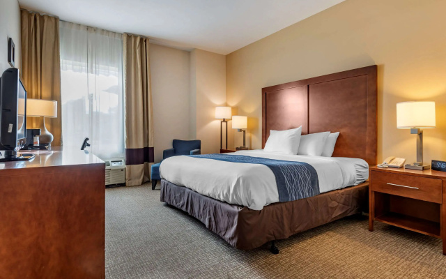 Comfort Inn Apalachin / Binghamton W Route 17