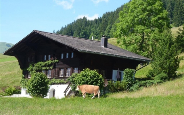 Отель Aerneli, Chalet вид на фасад
