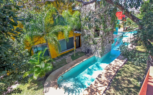 Genea by NAS