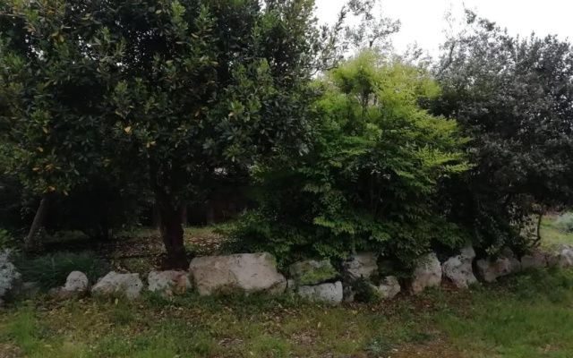 Giardini Irlandesi B&B