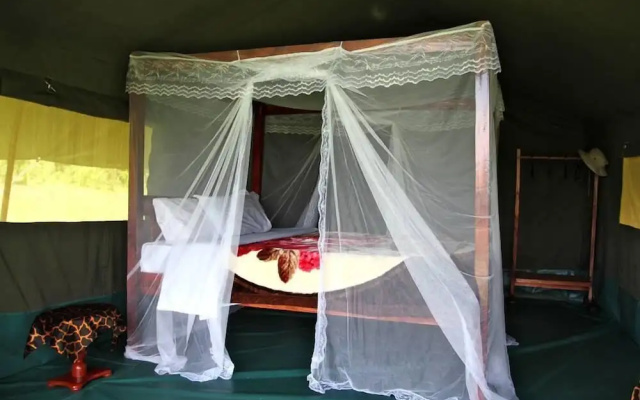 Fisi Camp