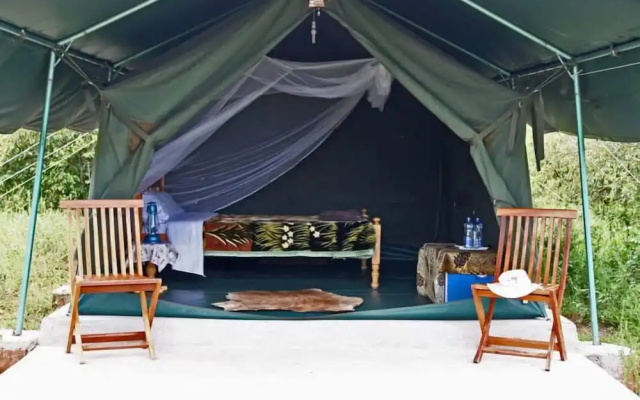 Fisi Camp