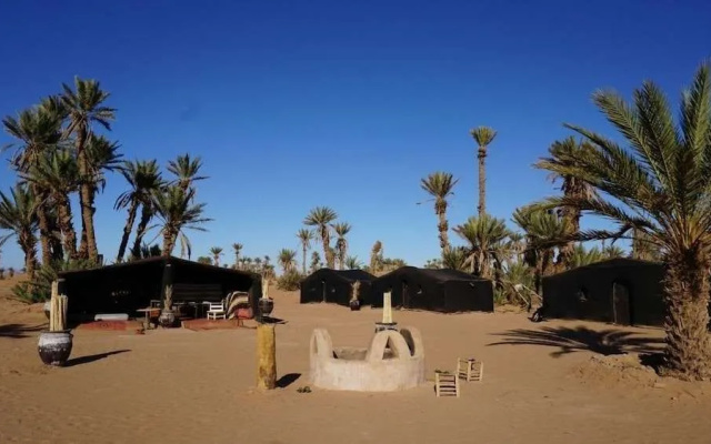 Camp Sahara Nights