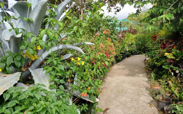 Papaya Inn