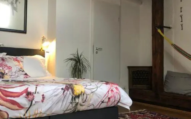 Camino Home 1