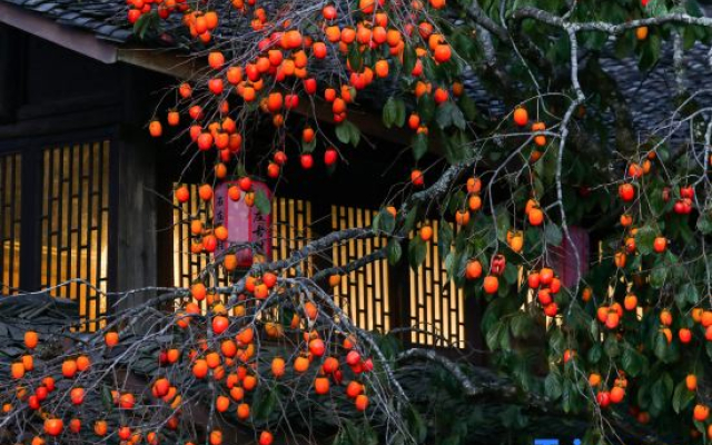 Kasion Puju Guesthouse