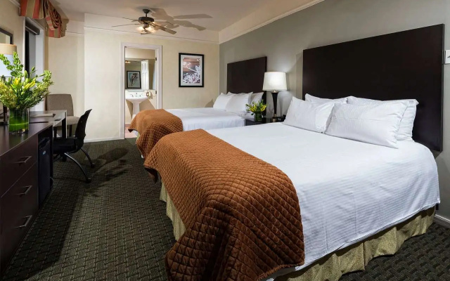 The Willows Hotel