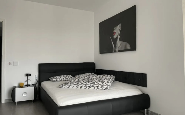 Beautiful Penthouse Lakeview W18