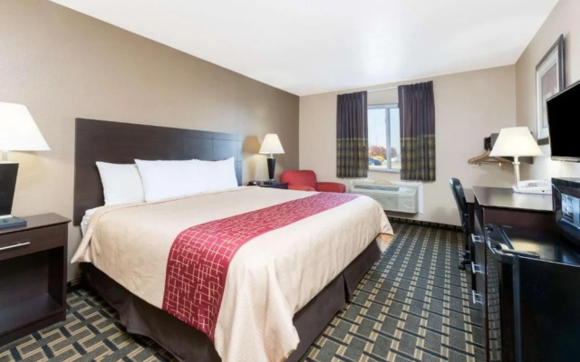 Super 8 Springfield East