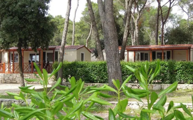 Camping Park Soline