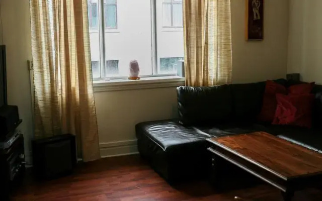 Central Baronsstigur Apartment